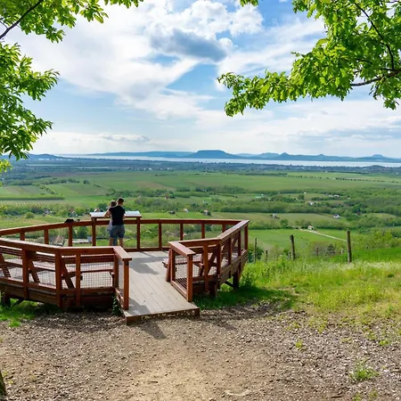 In - Balaton 19180 דירה