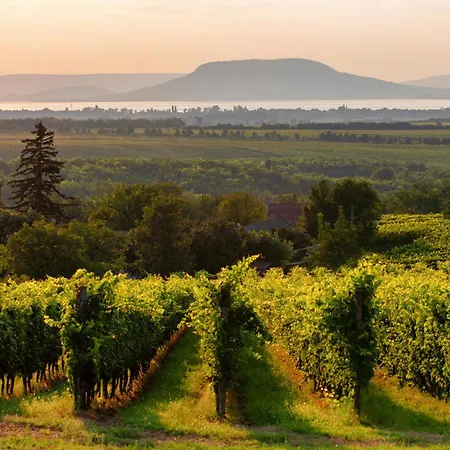 Apartment In - Balaton 19180 Balatonlelle