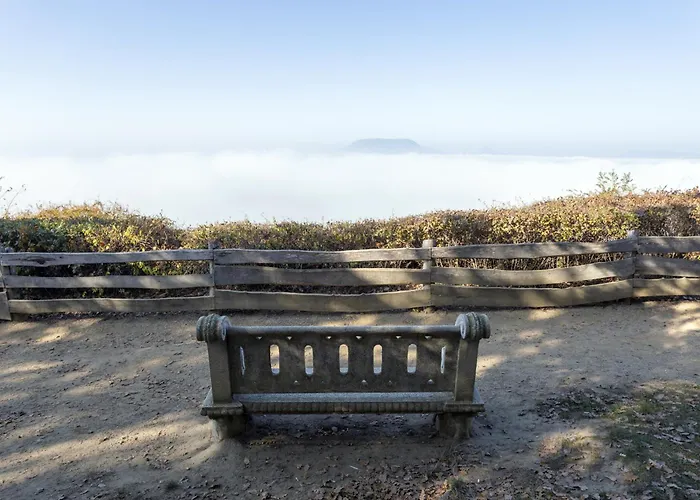 In - Balaton 19180 Apartment